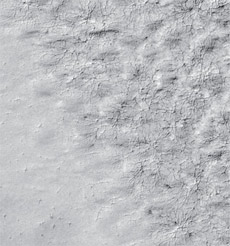 ''Паучки'' - следы, которые остаются на марсианской поверхности после того, как лёд окончательно растает, точнее, возгонится. Соответственно, увидеть их можно только когда в полярной области потеплеет (фото MOC).