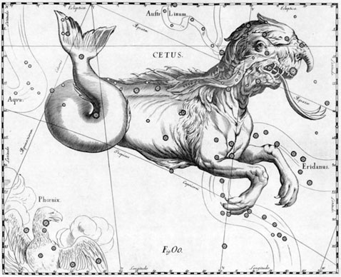 У астронома Яна Гевелия не было ни одного знакомого кита, поэтому сего зверя в своём звёздном атласе 